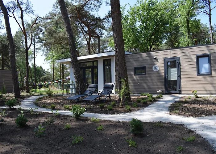 Boshuisje - Bos En Bliss
