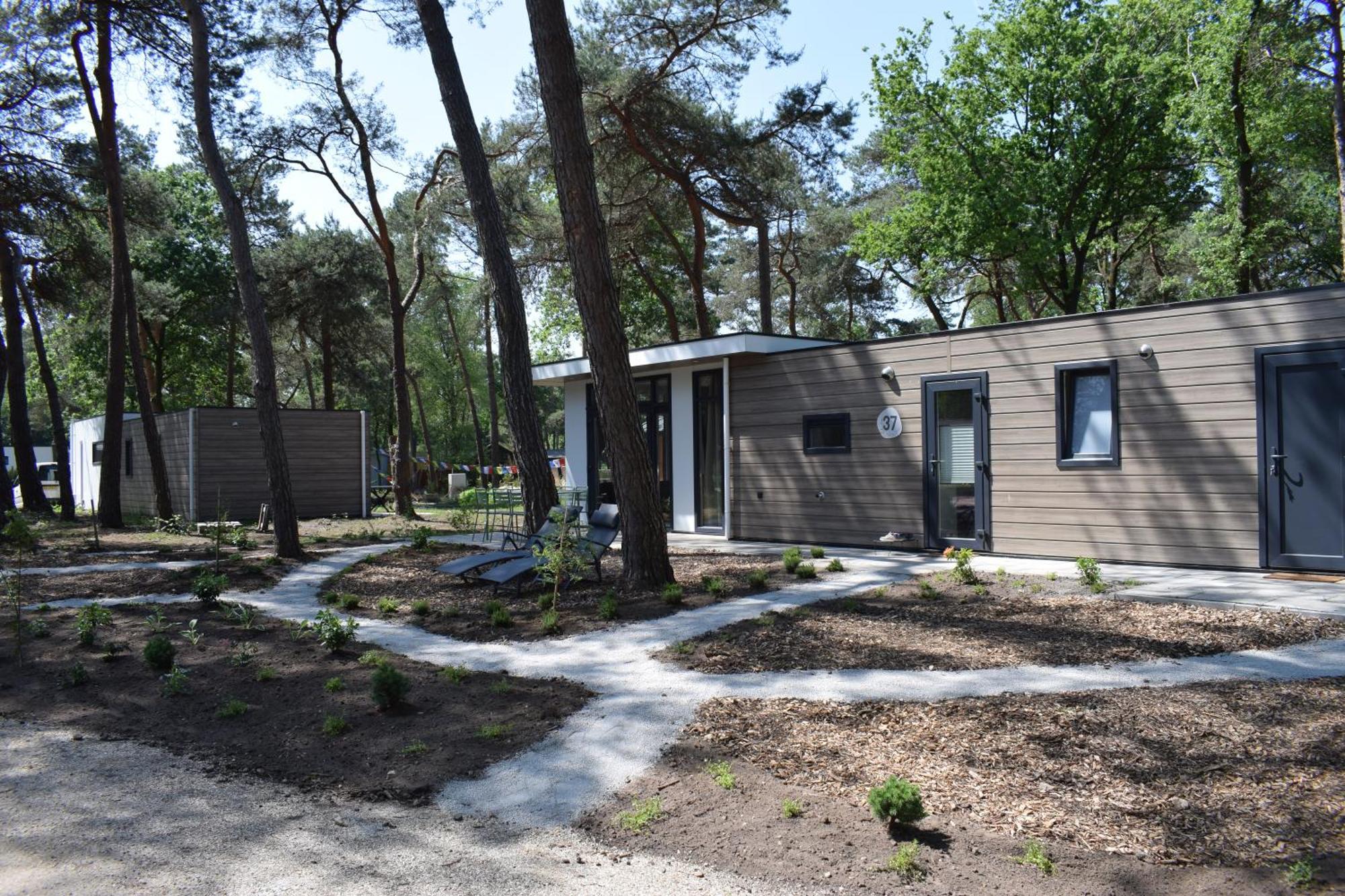 Boshuisje - Bos En Bliss Haarle